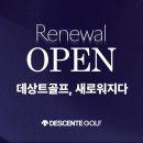 데상트골프 이미지