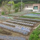 여수농장 이미지