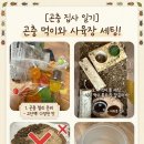 장수마트 | 초등학생 장수풍뎅이 키우기: 마트에서 구매한 필수 준비물과 사육 후기