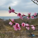 대계마을 이미지