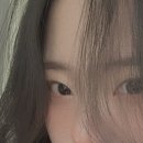 디엠정대영