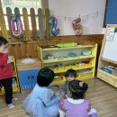 멜리오어린이집 Daum카페