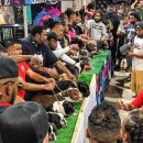 아름켄넬 이미지