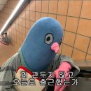 샐러드파티 이미지