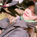 흥지 이미지