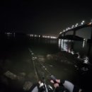 플루트(야간) 이미지