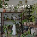 피크닉스 | 대전개업화분 집들이 배달 식물쇼룸 피크닉스