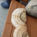 방태산마당바위민박 이미지