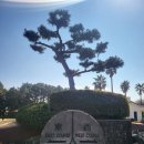 크라운CC 이미지