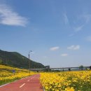 다정누림 이미지