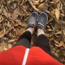 꼬미엔소 이미지