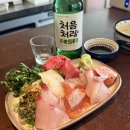 아쿠아마 | 정자역 이자카야 혼술 맛집 아쿠아마 1인 사시미 혼술 후기