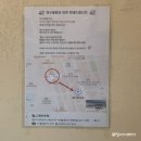 조마루로285번길·부흥로 303번길 | 신중동 맛집 미쓰발랑코 백반기행 부천 짜글이 내돈내산