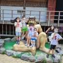 석사경희센텀태권도장 이미지