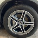 루스터 디테일링 이미지