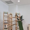 캣플 동탄점 이미지