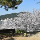 능포주차장 이미지