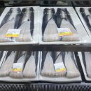 태흥장어 이미지