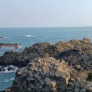 양남주상절리 이미지