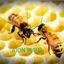 균형과조화