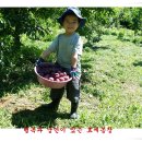 손자농장 이미지