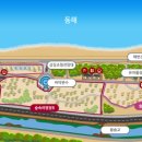 고래불국민야영장 이미지