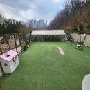 옥자네애견카페 유치원 호텔 미용 이미지