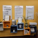 국가대표안마지압원 이미지