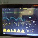 나아라 동물병원 이미지