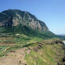 제주 산방산 암벽식물지대 | 제주 산방산 암벽식물지대 탐방하기