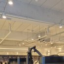 디클리셰 | 운정 헬스장, 운동의 재발견: 디클리셰 후기