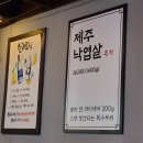 제주탐하리 이미지