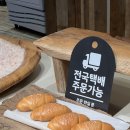 염전의봄 이미지
