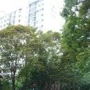 중앙공원로 이미지