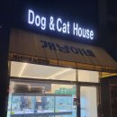 개냥이네 노원본점 이미지