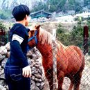 캐슬드한림 민박 이미지