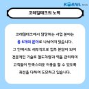 코레일테크(주) 이미지