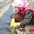 미암1리 이미지