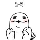 로젤 147 이미지