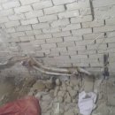 선산대로-54 이미지