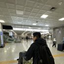 목포하이케어 | 결혼 5주년, 홍콩 🇭🇰