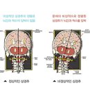 올림픽정형외과의원 이미지