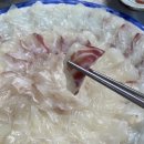 신선횟집 2호점 - 337874 | 신선횟집 2호점