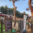 마두공원(정발초 옆) | 일산 산책 정발산공원 주차 강아지 반려견놀이터 무료입장