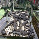 (유) 평화농장 이미지