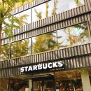 스타벅스_사거리1 이미지