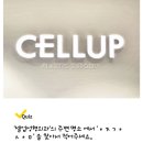 셀업성형외과