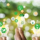 어르신 스마트폰 독립 이미지