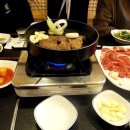 황소고집 이미지