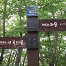 너브내길 이미지